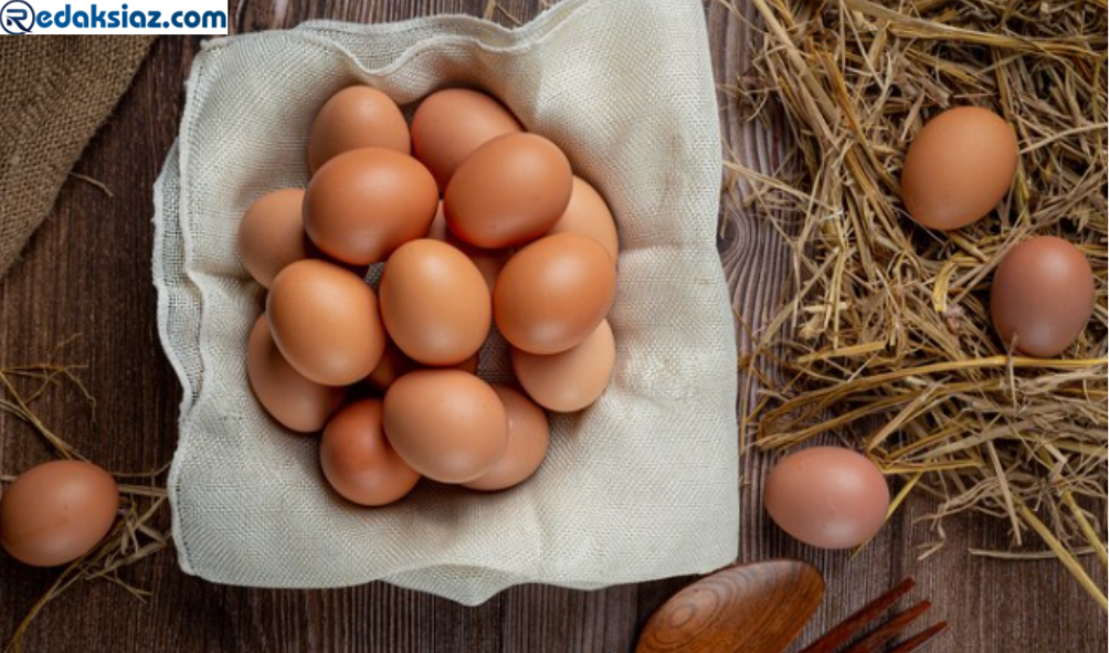 Perhitungan Bisnis Telur Ayam